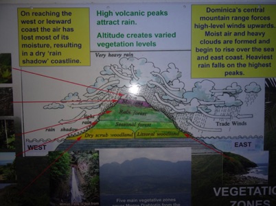 Vegetation Zones Vegetation Zones
